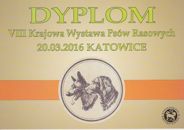 Katowice 20-3-2016
